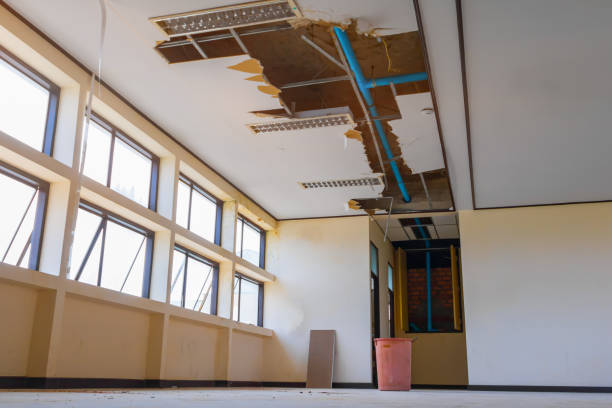 Best Ceiling water damage repair  in Rhinelander, WI