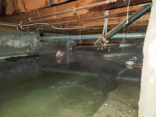 Best Water damage restoration company  in Rhinelander, WI