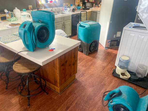 Best Flood damage cleanup  in Rhinelander, WI