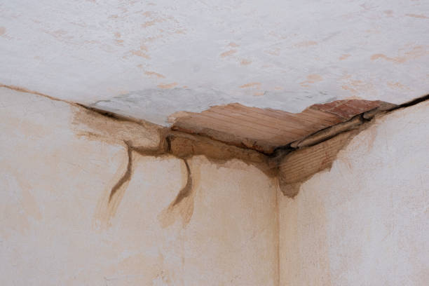 Best Basement water damage restoration  in Rhinelander, WI