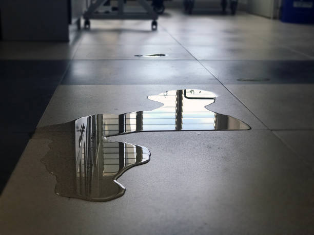 Best Water damage contractors near me  in Rhinelander, WI