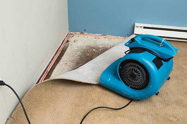 Water damage restoration experts in Rhinelander, WI